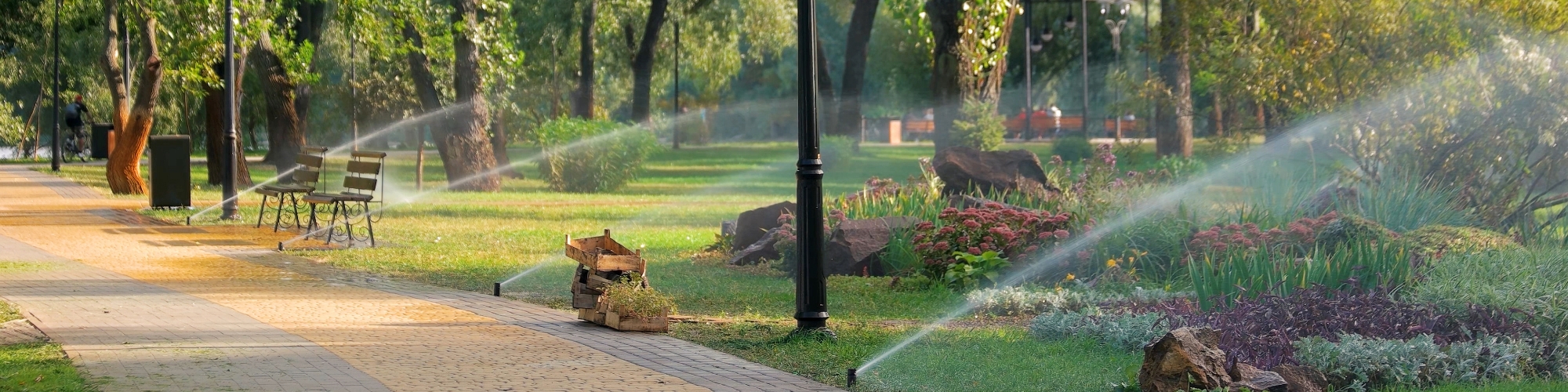 Expertly designed and maintained commercial landscape by Lakeland Irrigation Pros